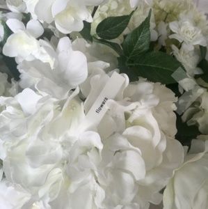 Meet your Posher, Macy